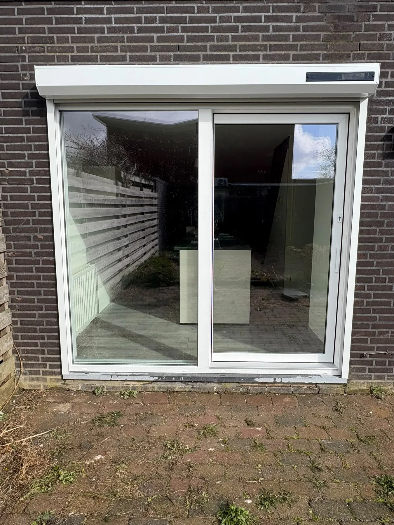 Witte pui